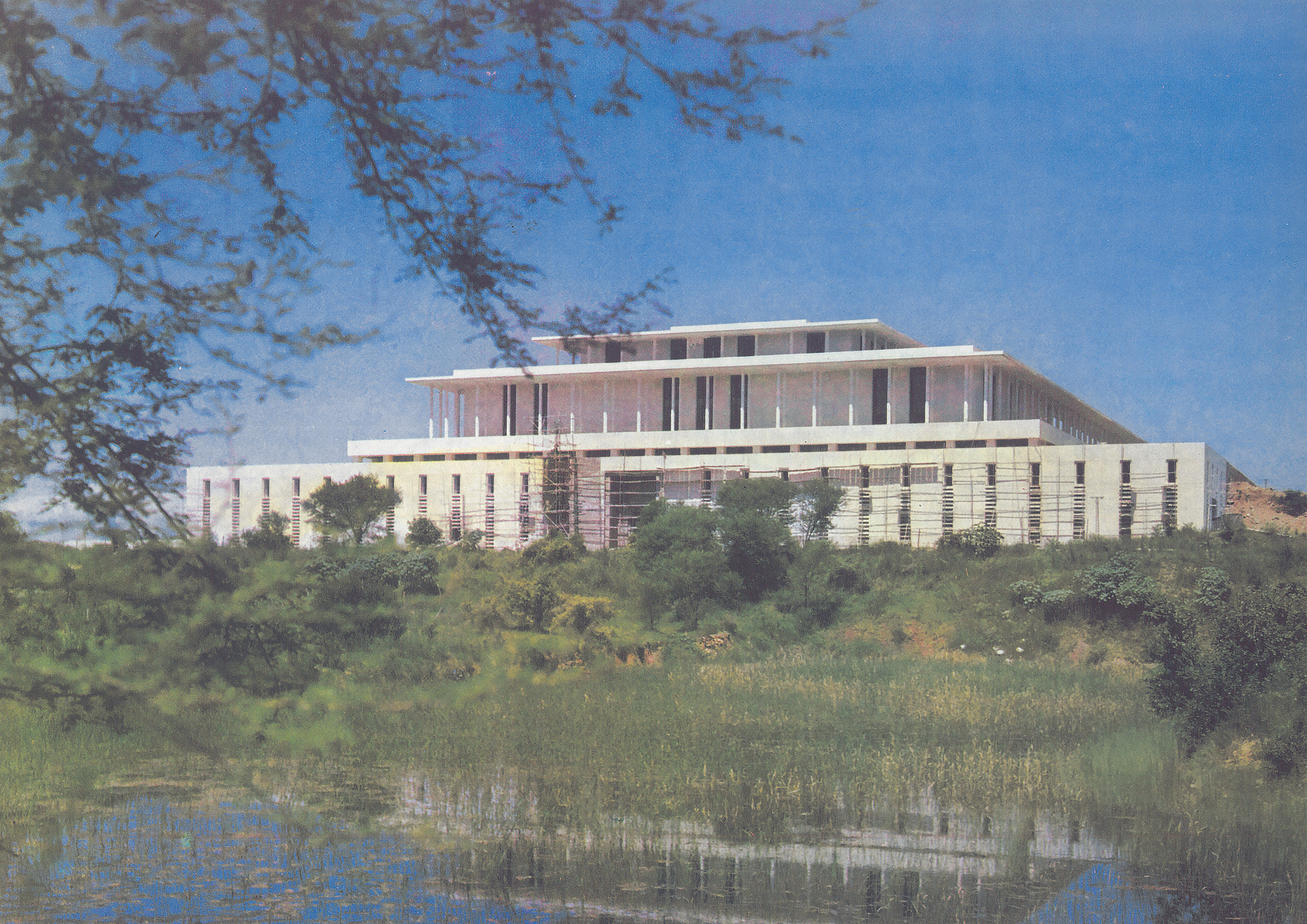 Software development